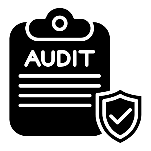 https://www.act21.io/serveraudit (7).png